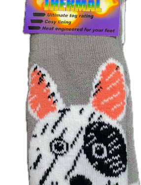 Avignon Heat Max Socka Djur grå hund Barn 27-35