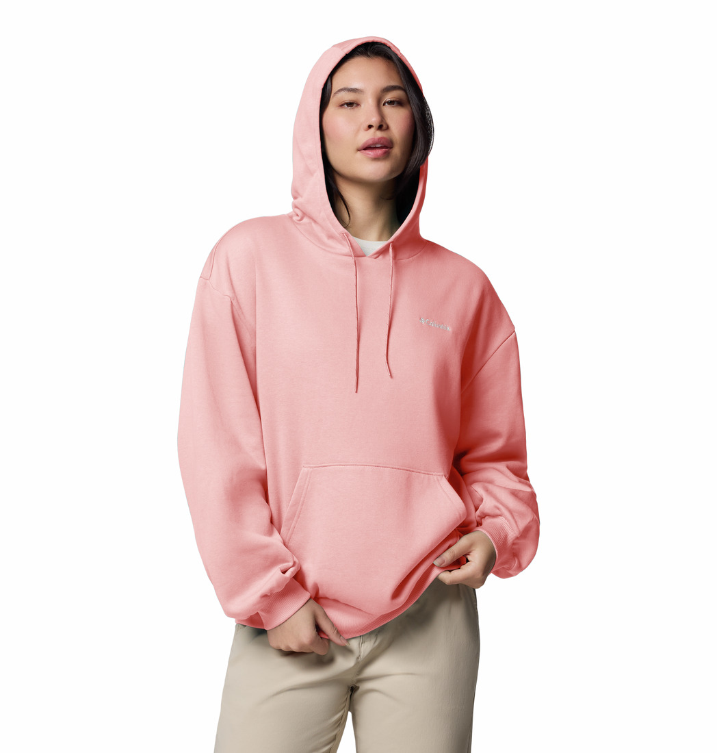 columbia aldermore hoodie dam 2