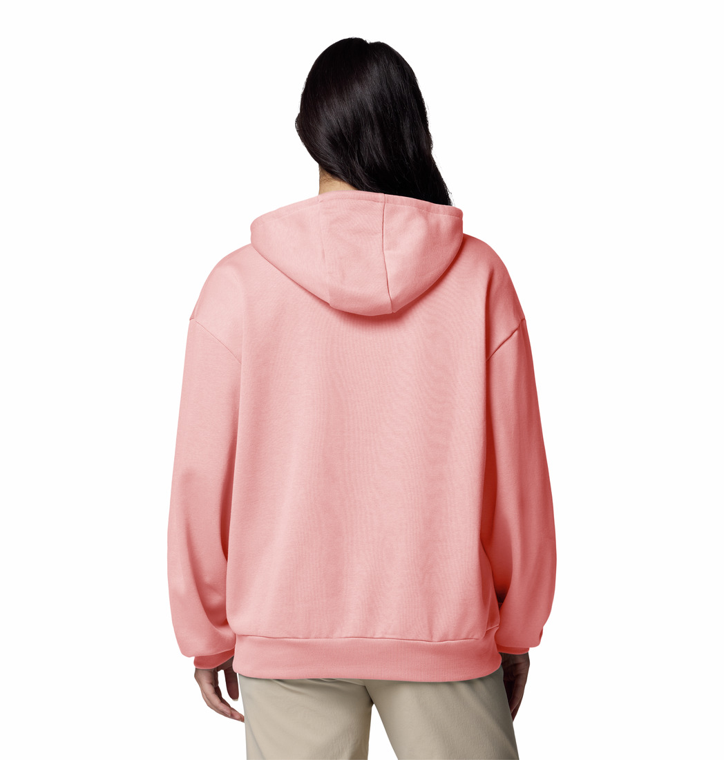 columbia aldermore hoodie dam 3