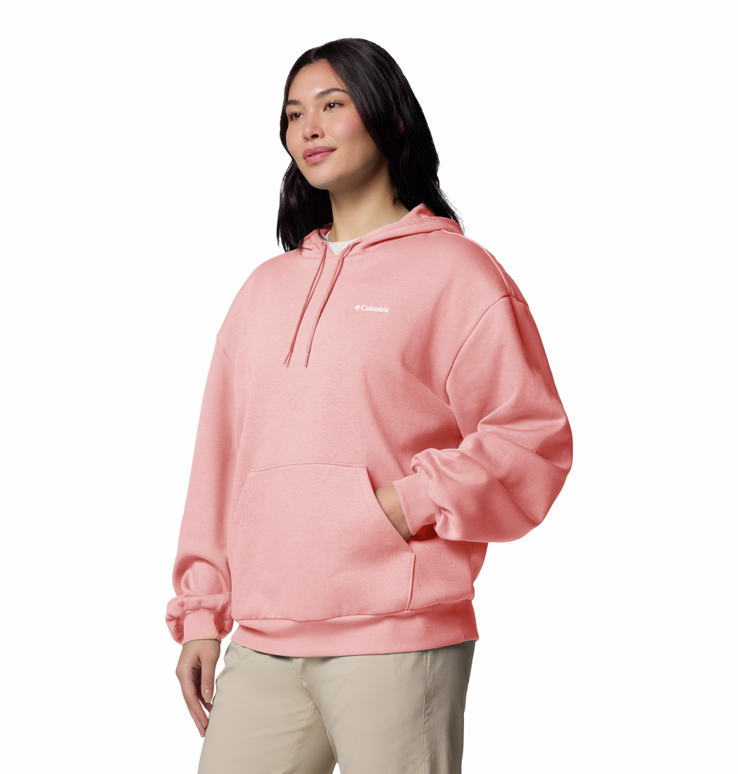 columbia aldermore hoodie dam
