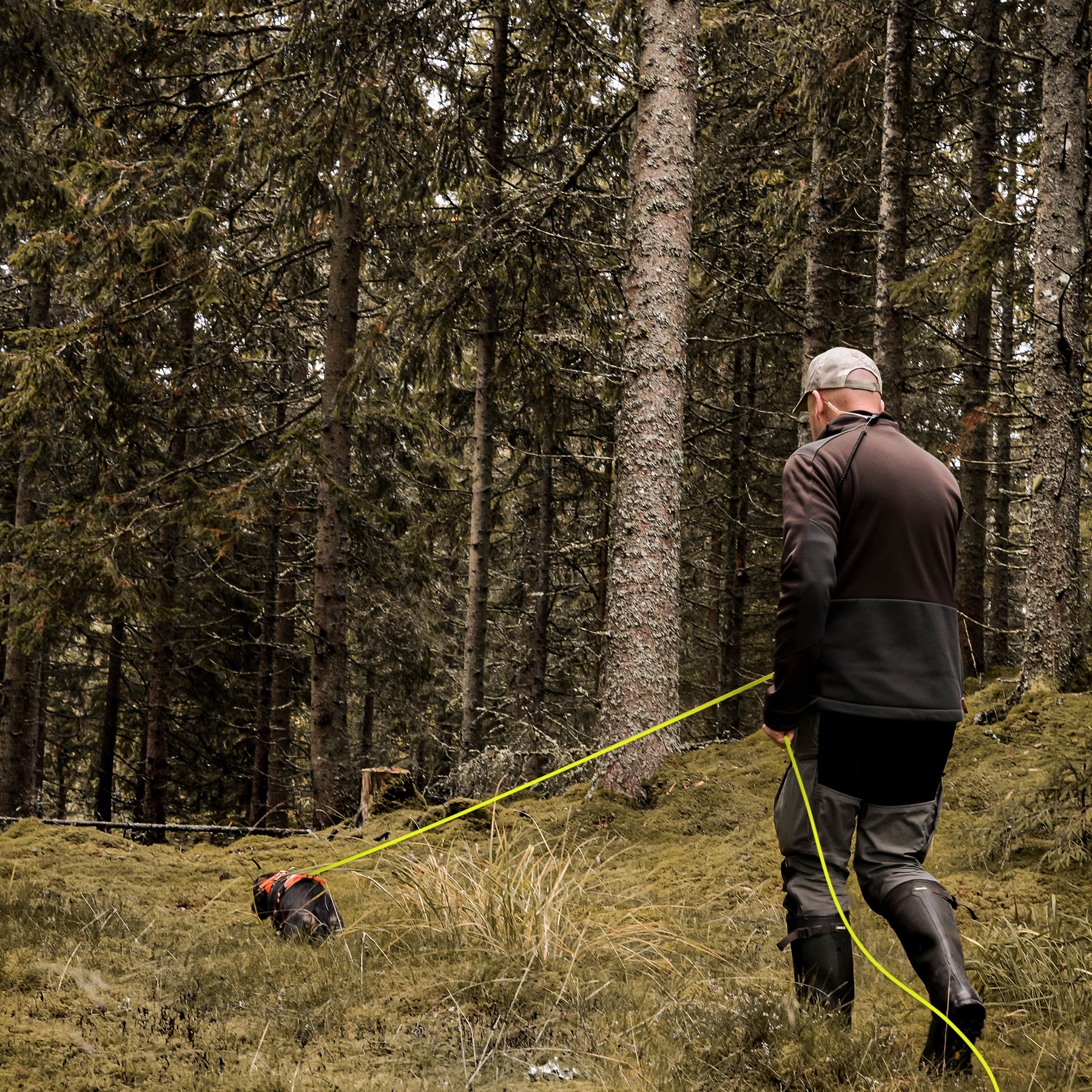 Rexa spårlina 774010 1