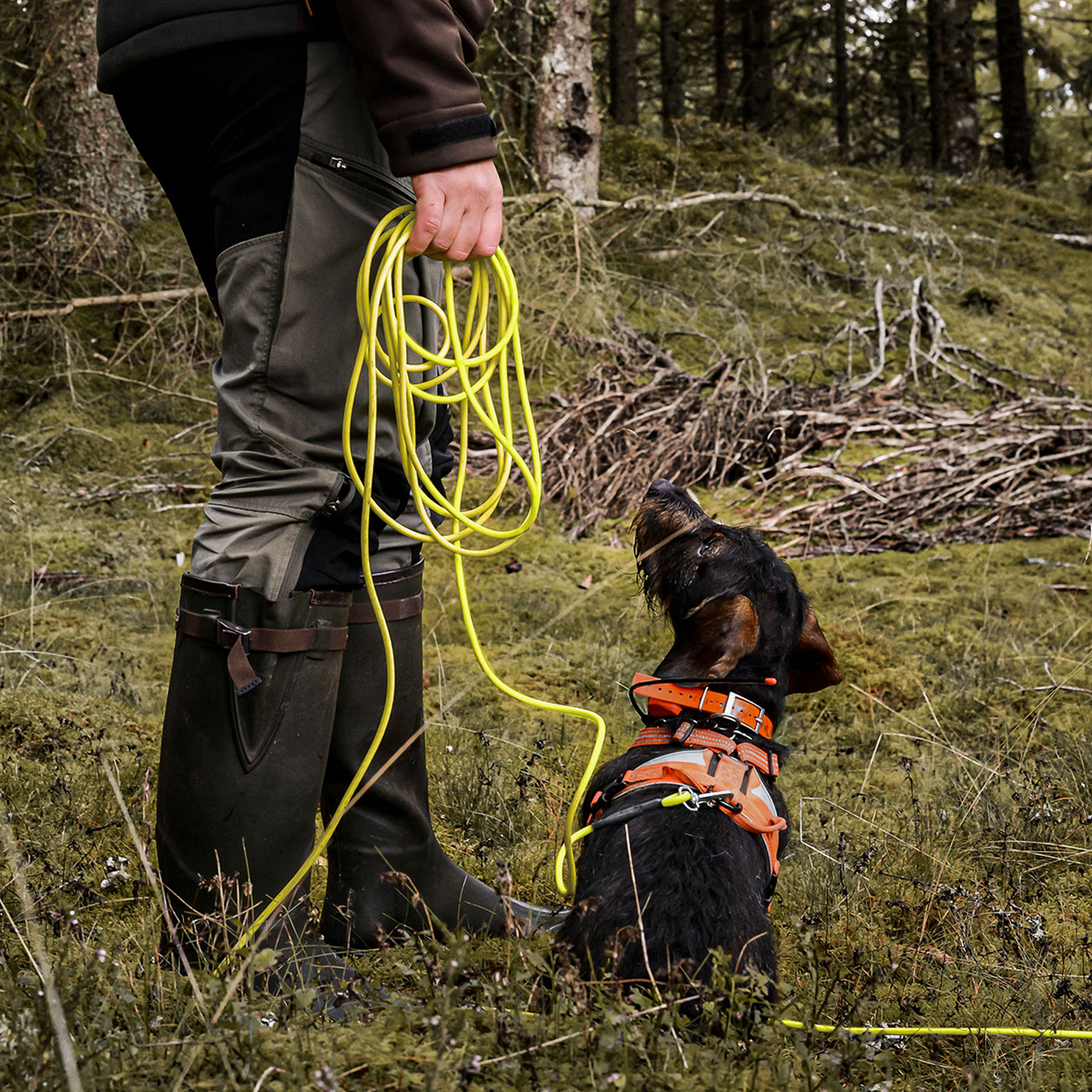 Rexa spårlina 774010 2