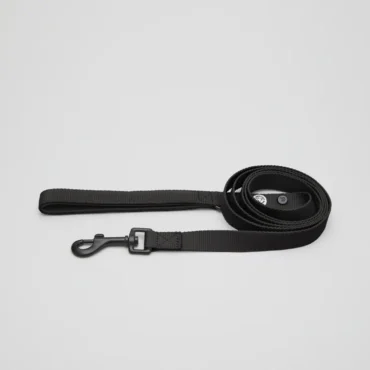 Barkalot Everyday Dog Leash