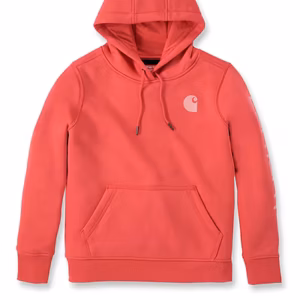 CARHARTT-C LOGO SLEEVE GRAPHIC SWEATSHIRT