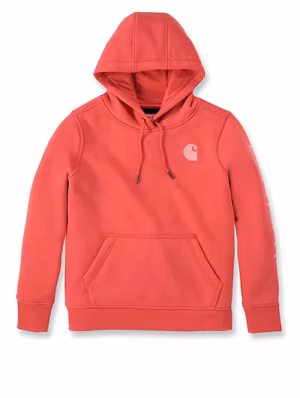 CARHARTT-C LOGO SLEEVE GRAPHIC SWEATSHIRT