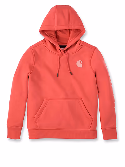 CARHARTT-C LOGO SLEEVE GRAPHIC SWEATSHIRT