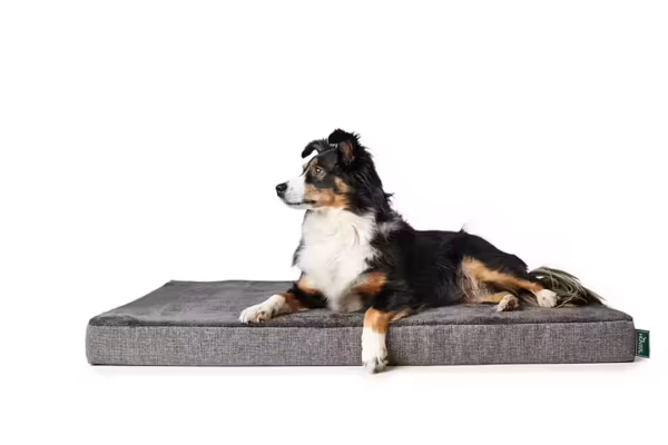 Ortopedisk hundbädd med memoryfoam