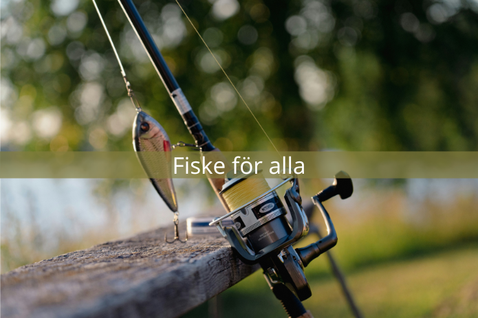 fiske
