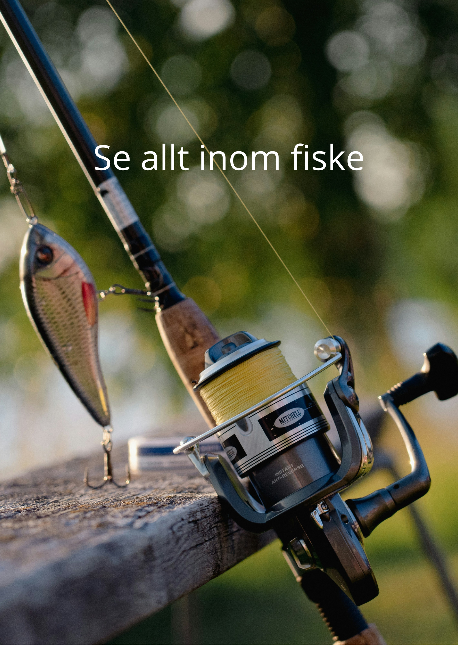 fiske