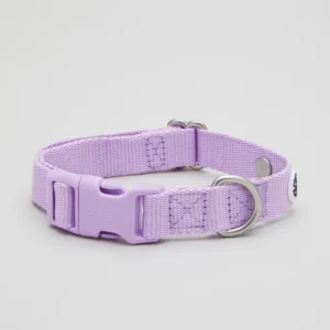 Everyday dog collar
