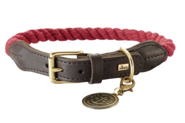 hundhalsband rep