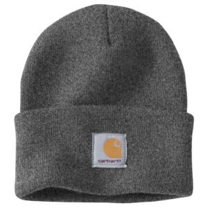 Carhartt-C Watch Hat - Grå