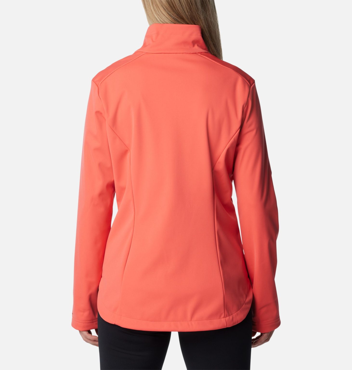 2071623x_1-1462x1536