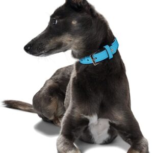 hunter collar softie blue