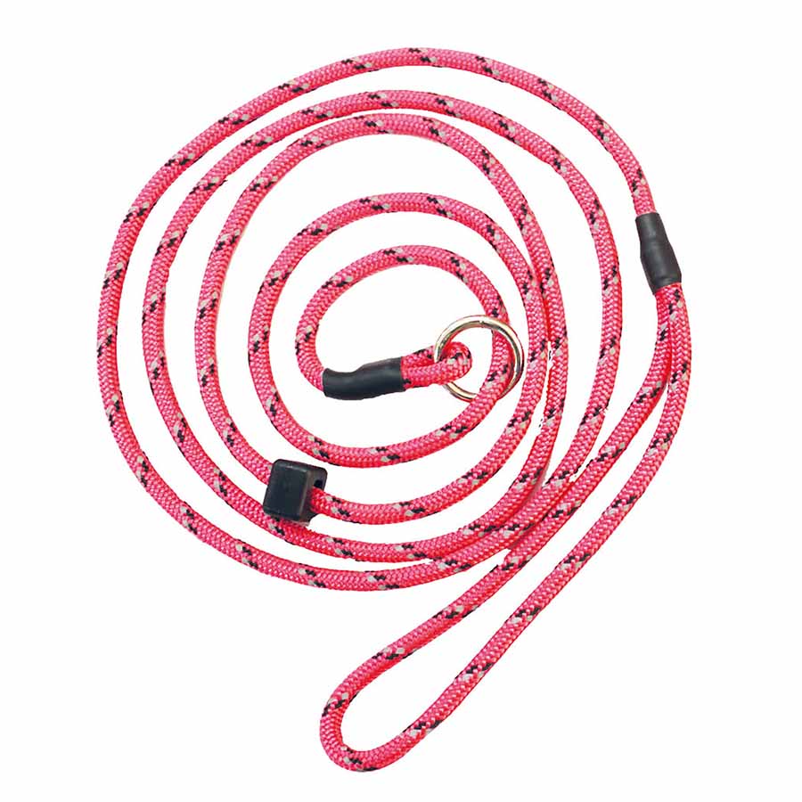 Retriverkoppel-med-reflex-Rosa rosa retrieverkoppel med reflex