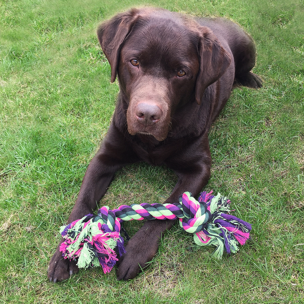 333334_gallery_1_333334