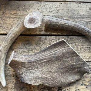 Fällhorn Tuggben Stora