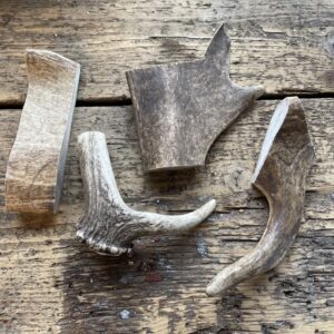 Svenska Fällhorn - Små